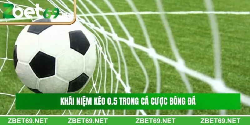 Khái niệm kèo 0.5 trong cá cược bóng đá