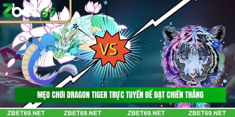 Mẹo chơi Dragon Tiger trực tuyến để đạt chiến thắng